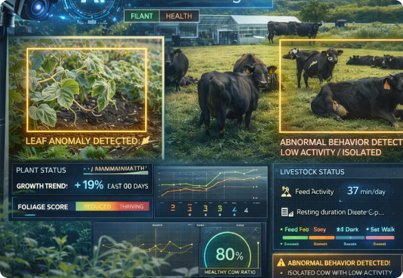 VAON Case Studies: AI Camera System for Monitoring Crops & Japanese Cattle Health