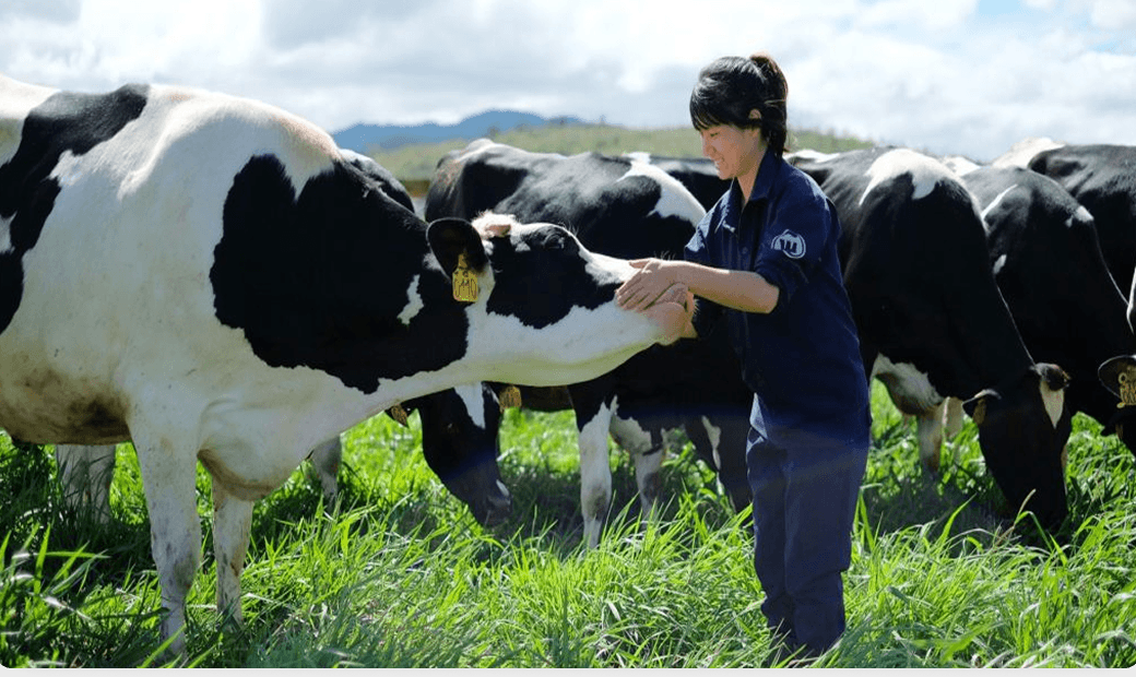 AI Camera System for Monitoring Crops & Japanese Cattle Health